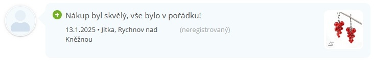 recenze Lenka Barčiová